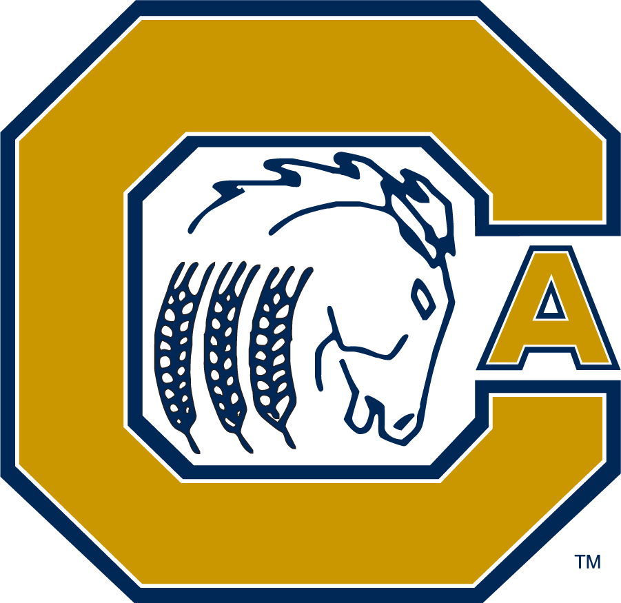 California Davis Aggies 1959-1999 Alternate Logo diy iron on heat transfer